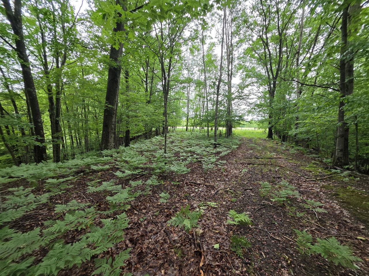 Madison Road Property Photo 22