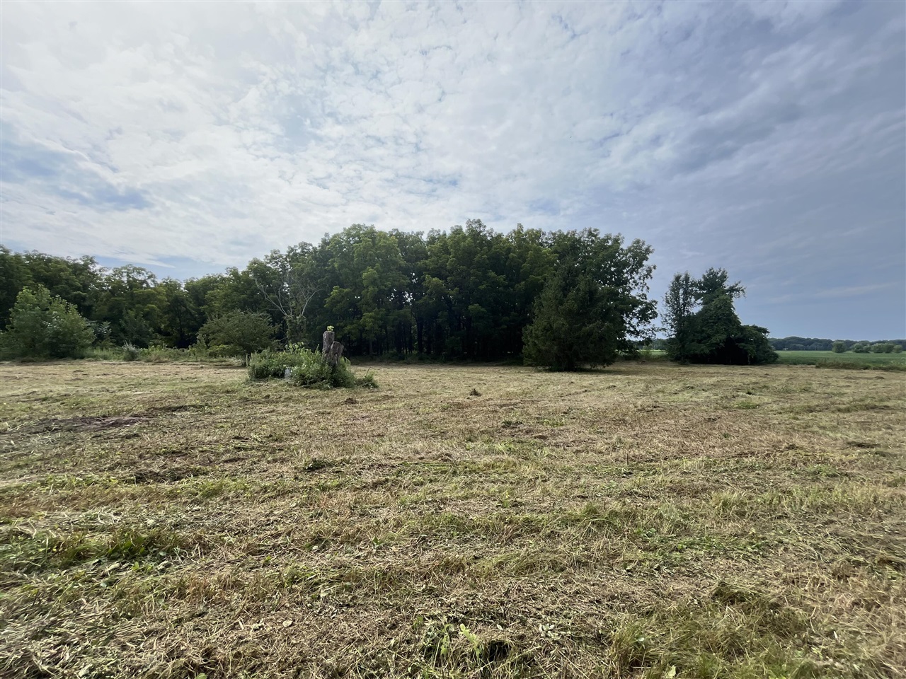 1221 E Marquette Woods Road Property Photo 11