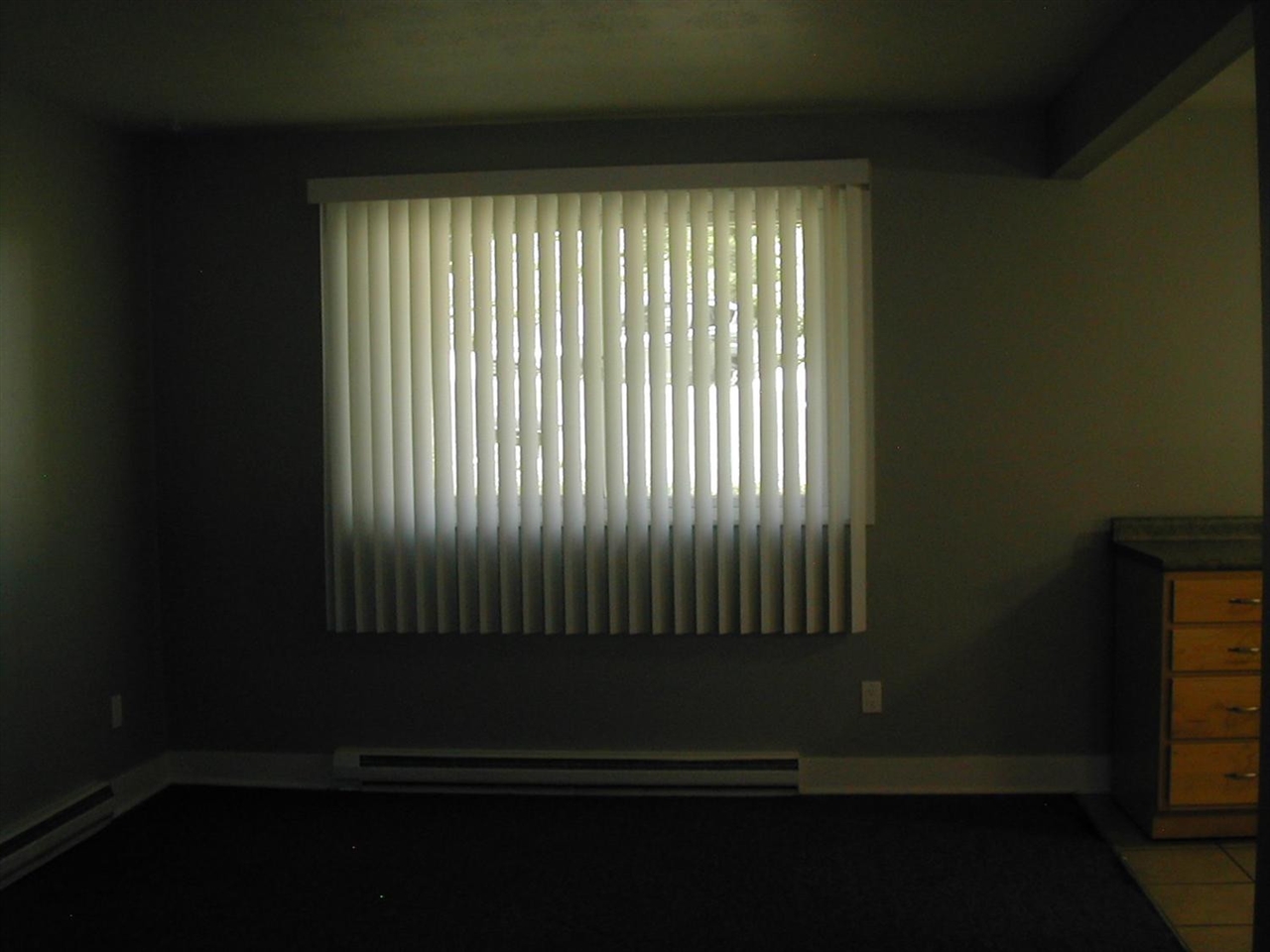 249 Brookridge Court Property Photo 6
