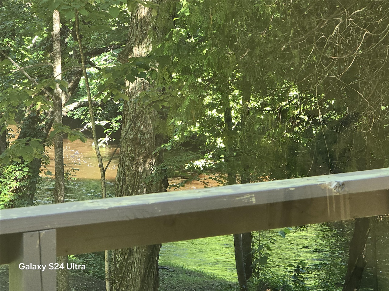 7455 Mcclellan Road Property Photo 13