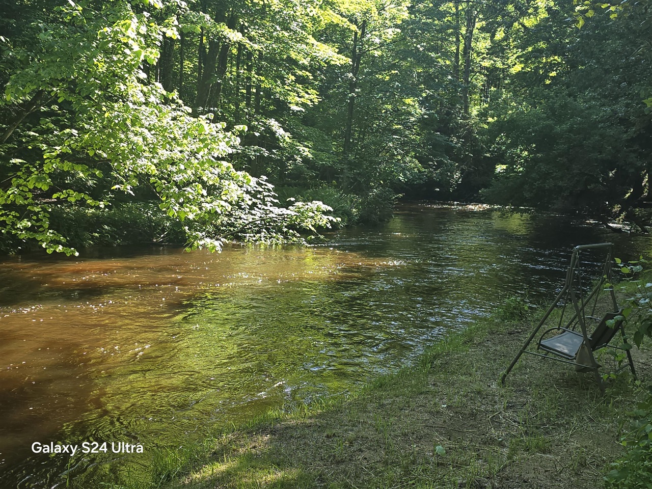 7455 Mcclellan Road Property Photo 16