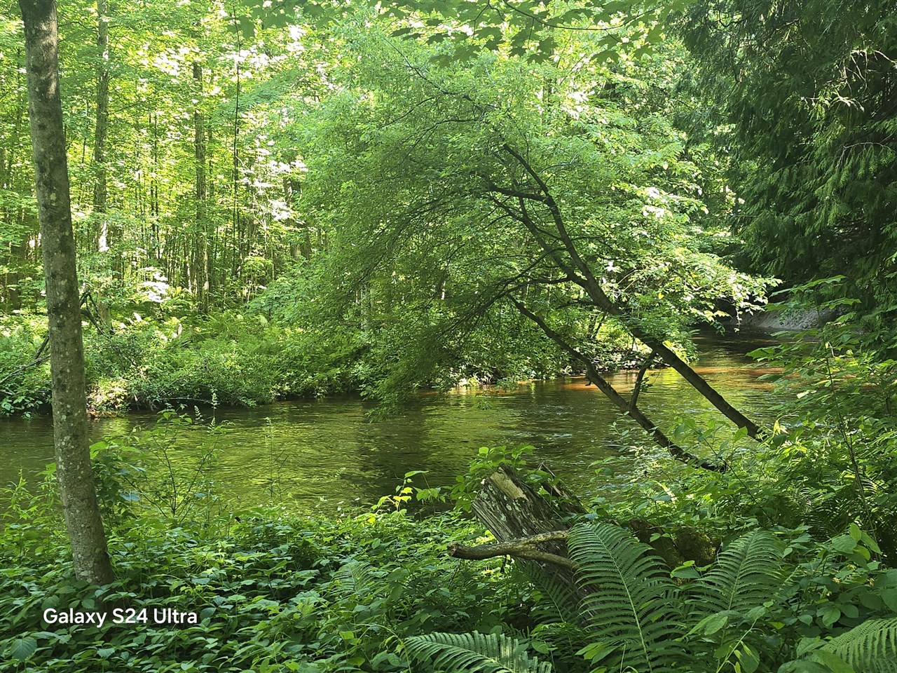 7455 Mcclellan Road Property Photo 19