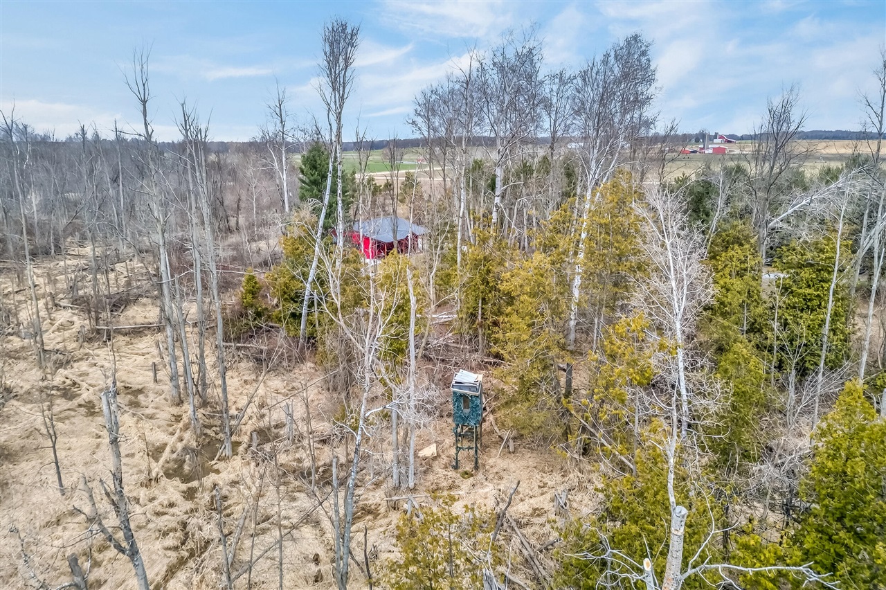 875 E Jackson Road Property Photo 42