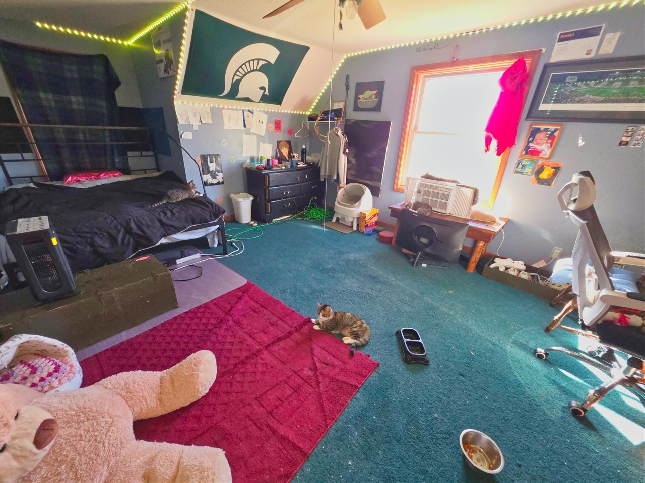 11905 Coman Road Property Photo 36