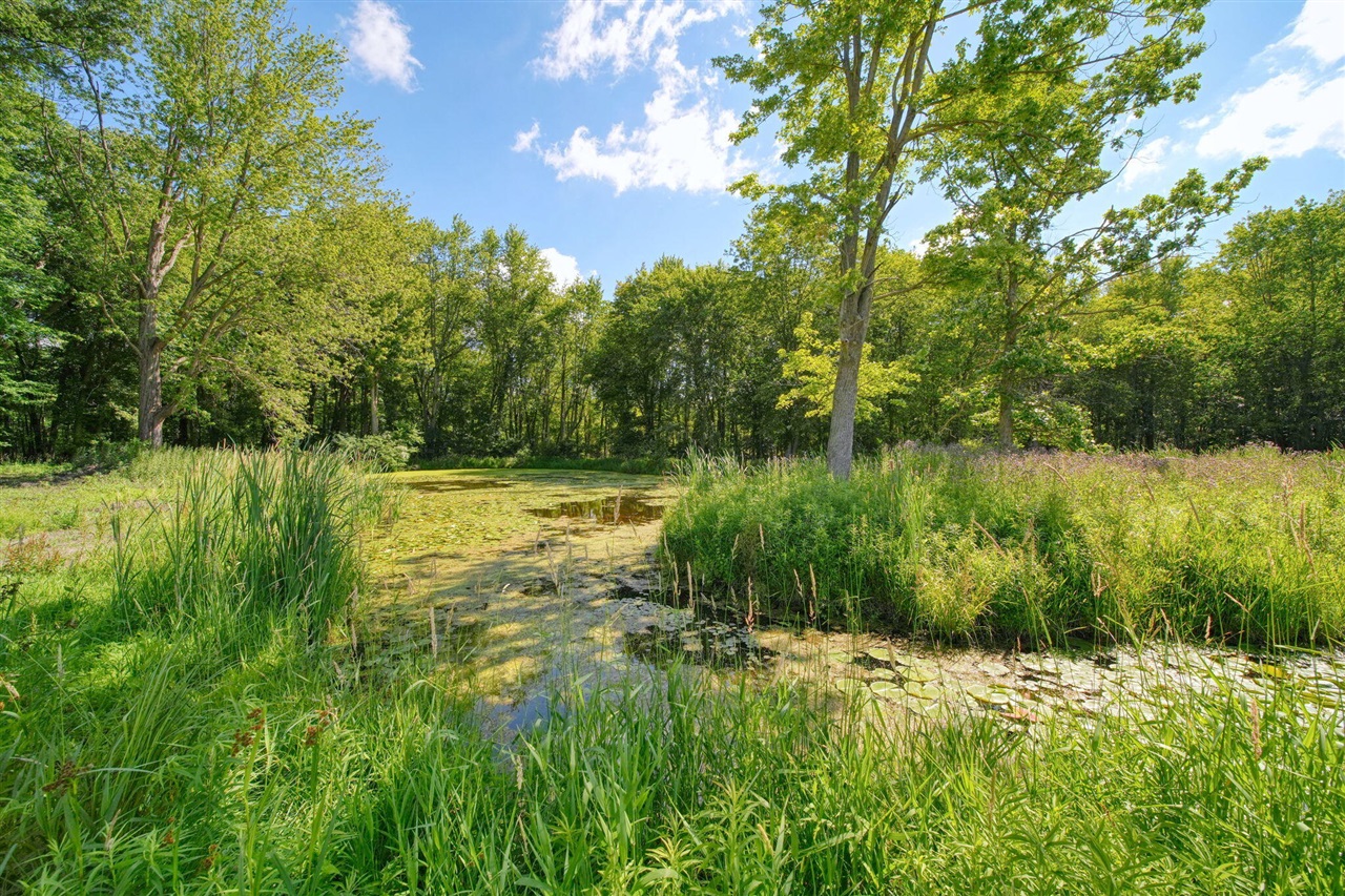 5995 N Sandstone Road Property Photo 54