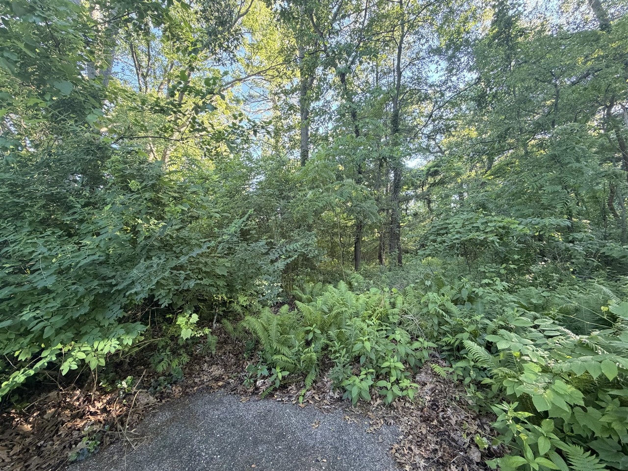 6034 River Ridge Court Property Photo 1