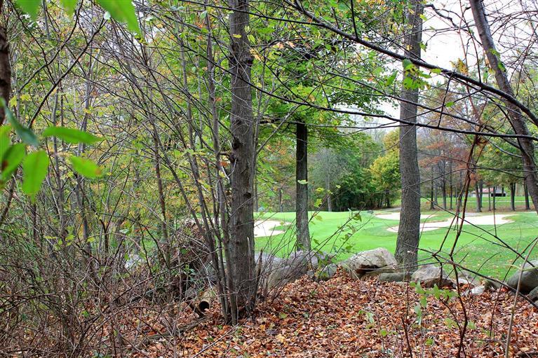 7326 Donald Ross Street Property Photo 6
