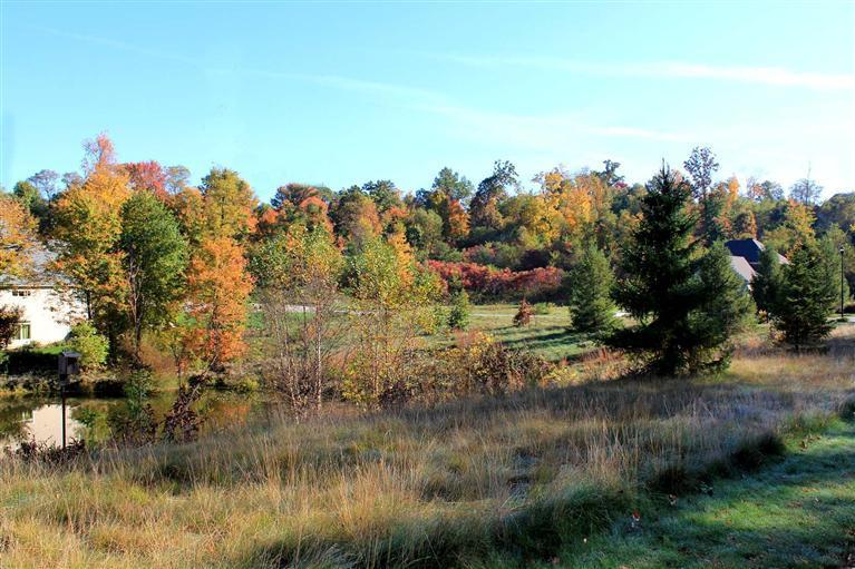 7326 Donald Ross Street Property Photo 9
