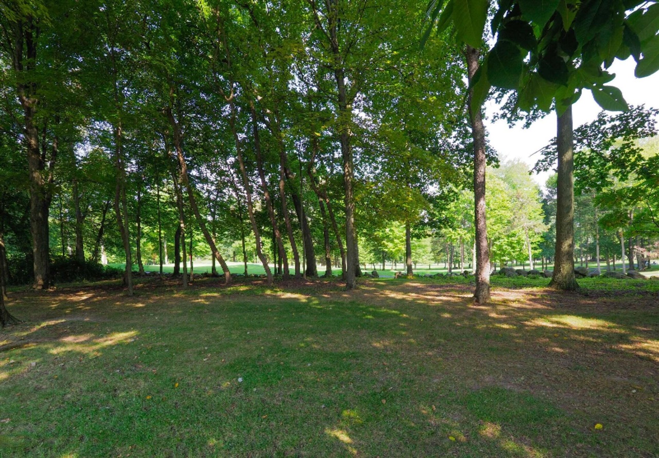 15321 Alister Mackenzie Avenue Property Photo 11