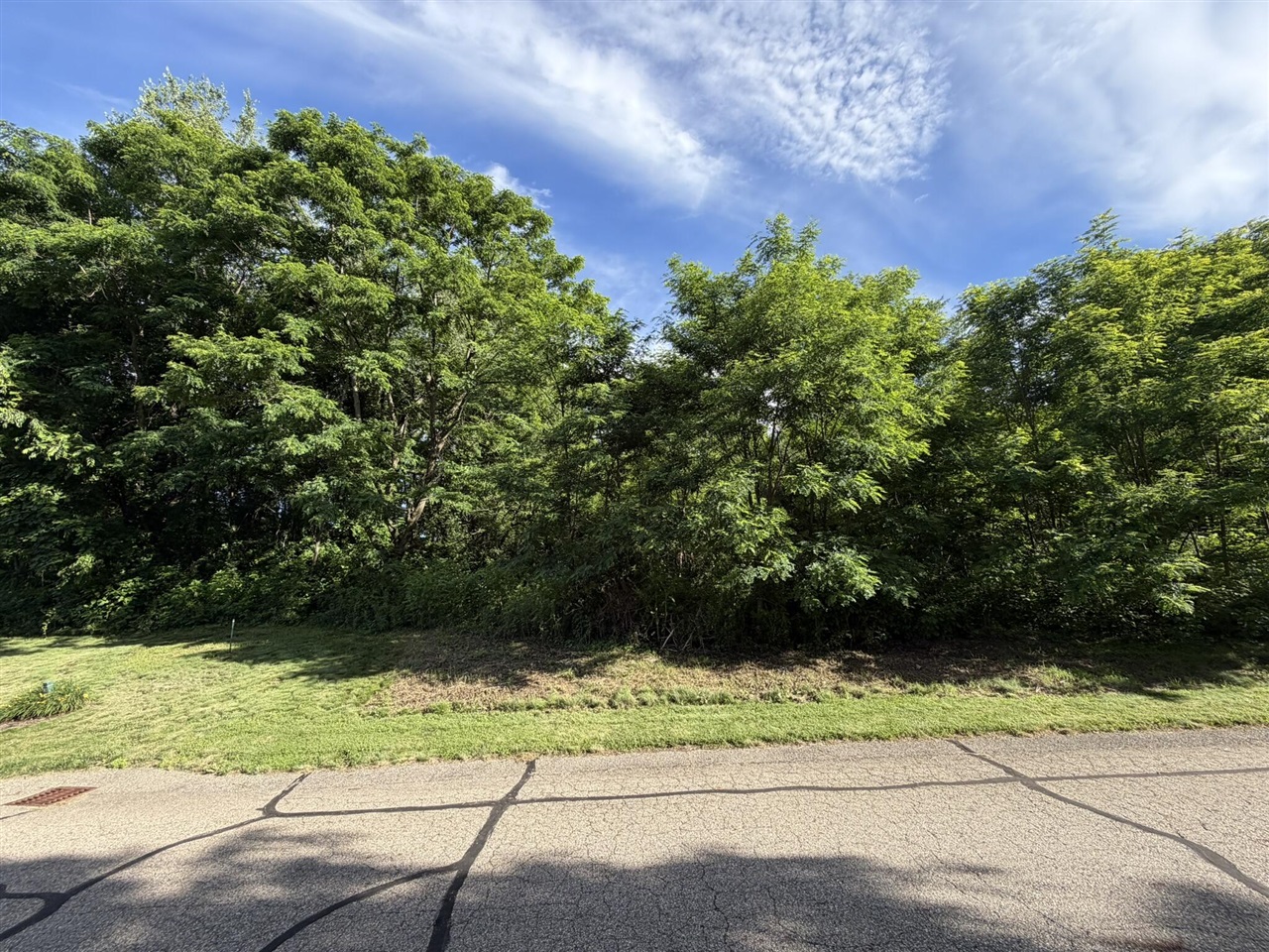 15295 Alister Mackenzie Avenue Property Photo 13