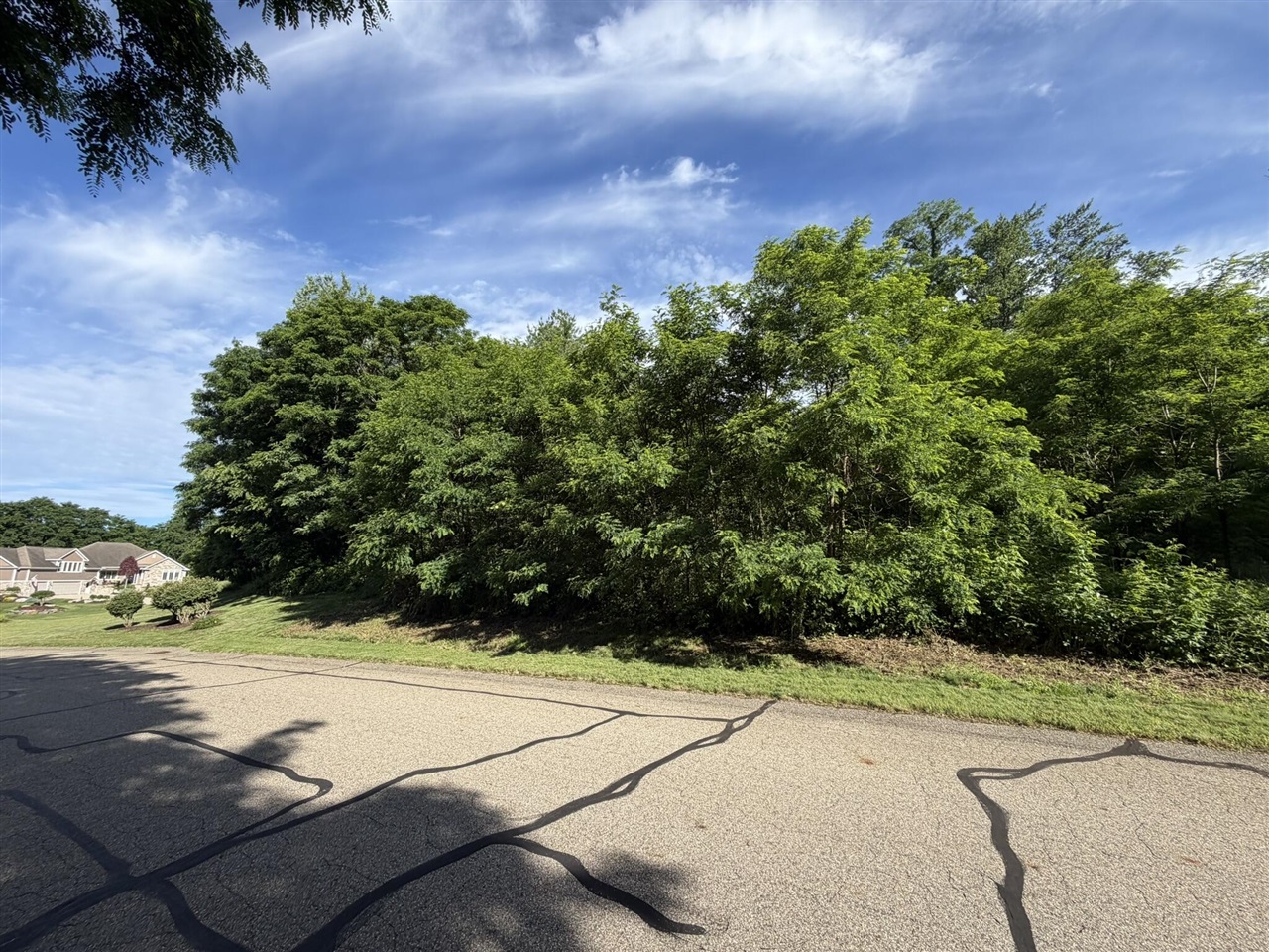 15295 Alister Mackenzie Avenue Property Photo 14