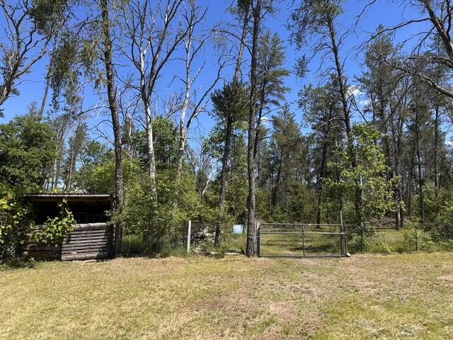 164 W 10 Mile Property Photo 24