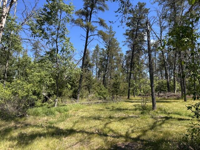 164 W 10 Mile Property Photo 25