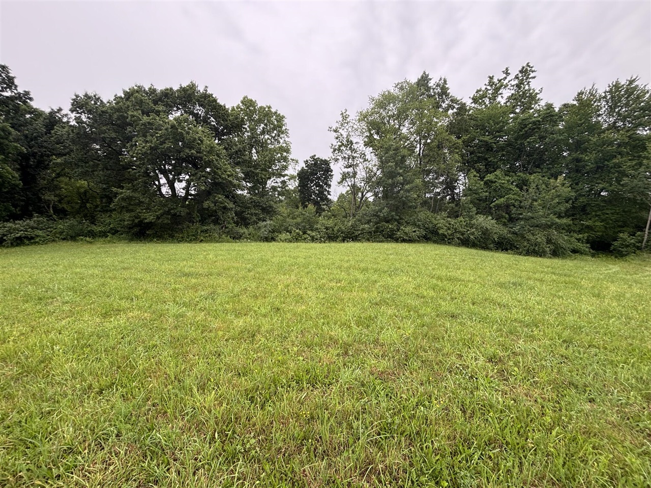 Vl Hawkins Rd Road Property Photo 2