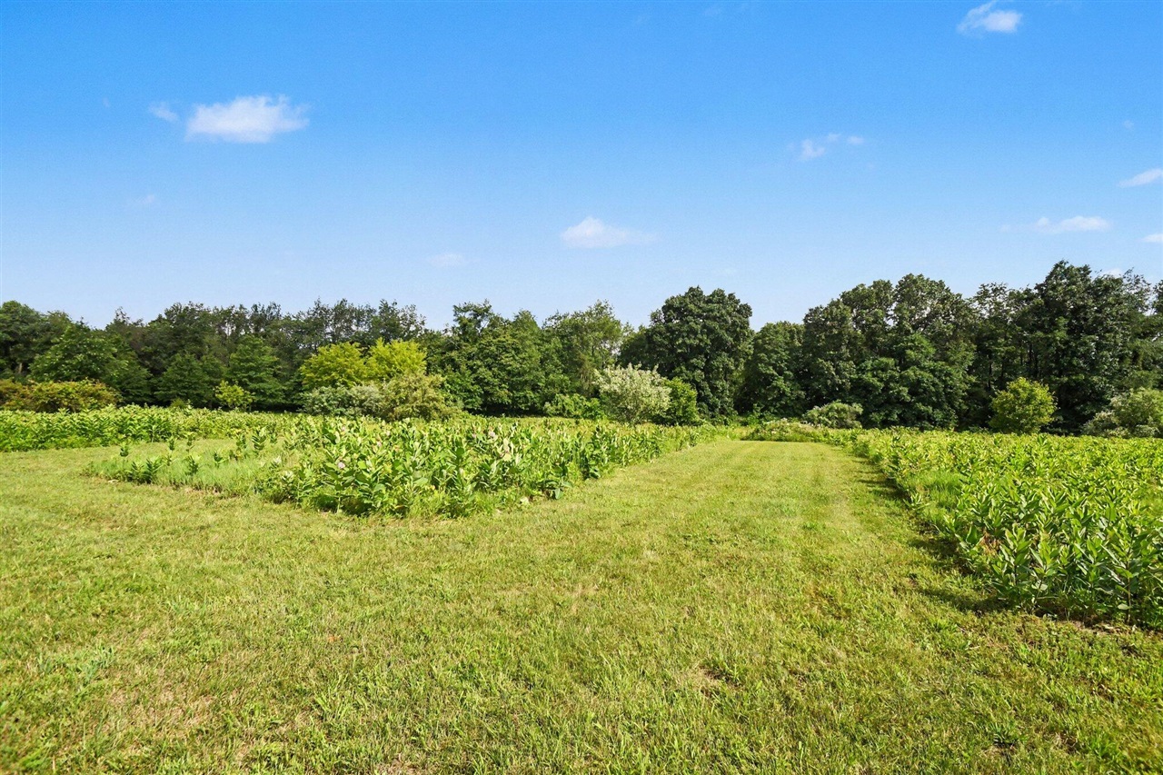 3181 Chamberlain Road Property Photo 35