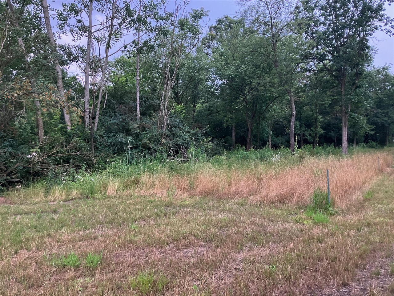 1667 Prairiewood Court Property Photo 1