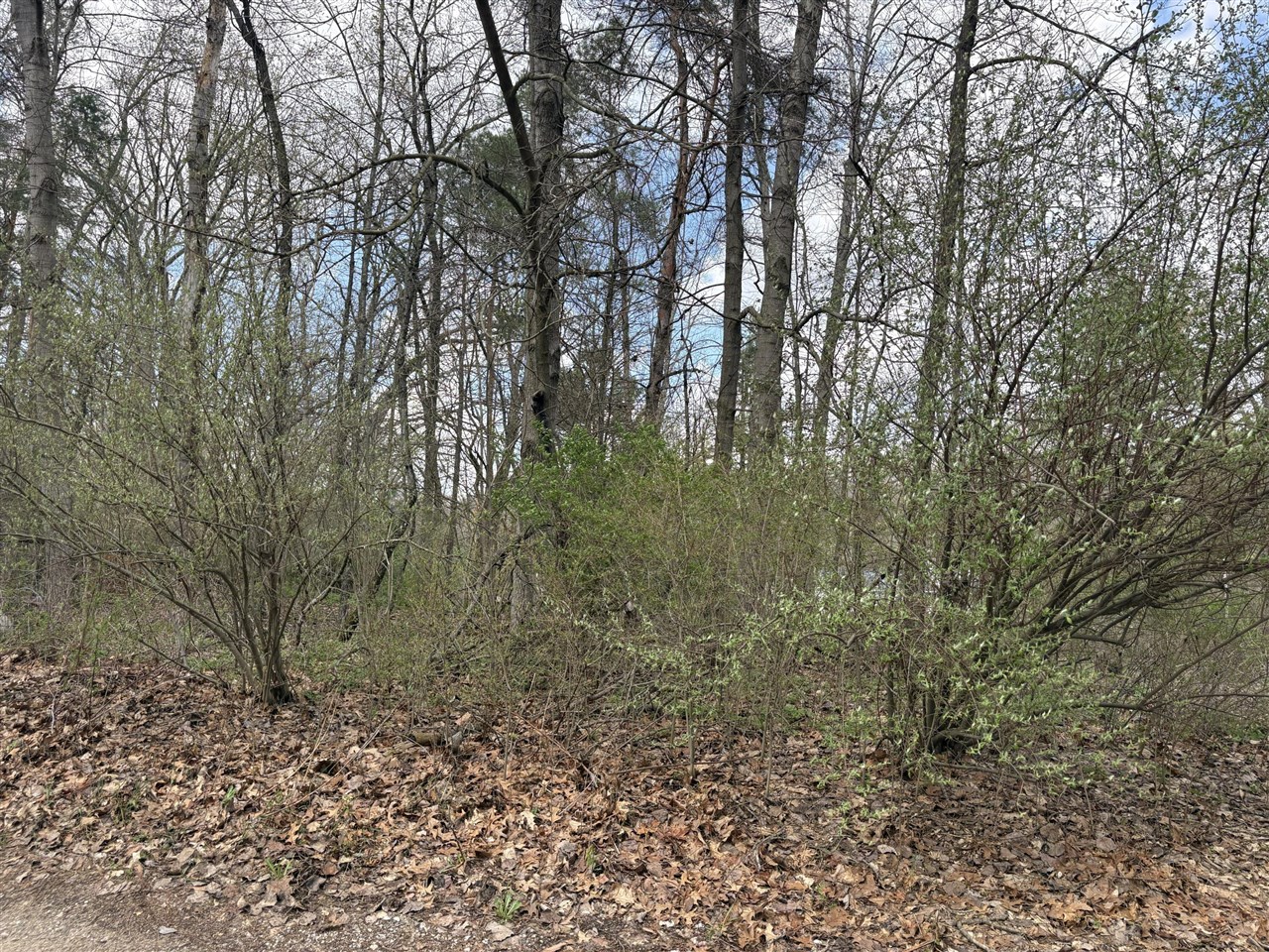 8113 Poplar Drive Property Photo 1