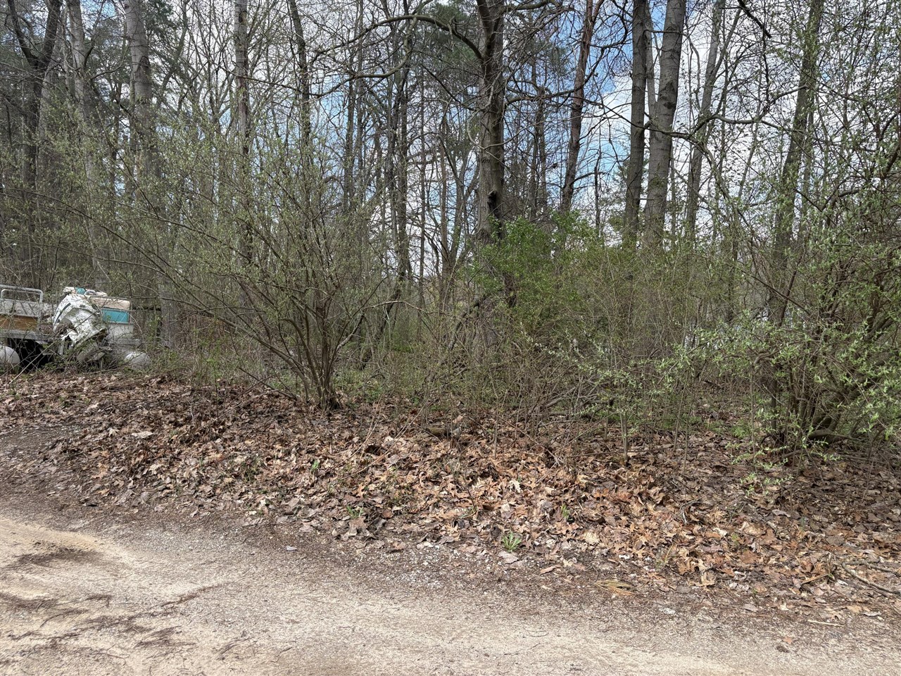 8113 Poplar Drive Property Photo 2