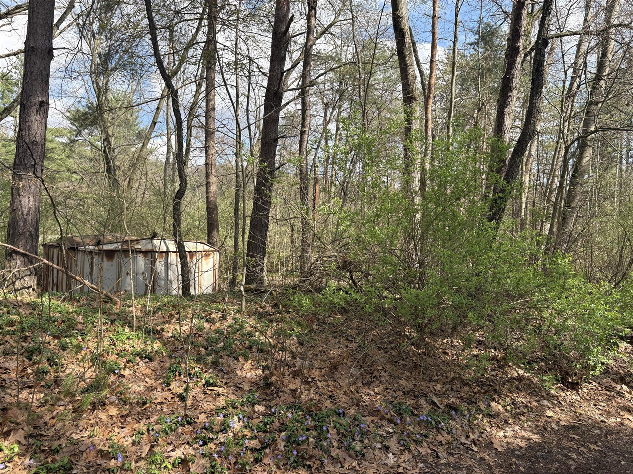 8113 Poplar Drive Property Photo 3