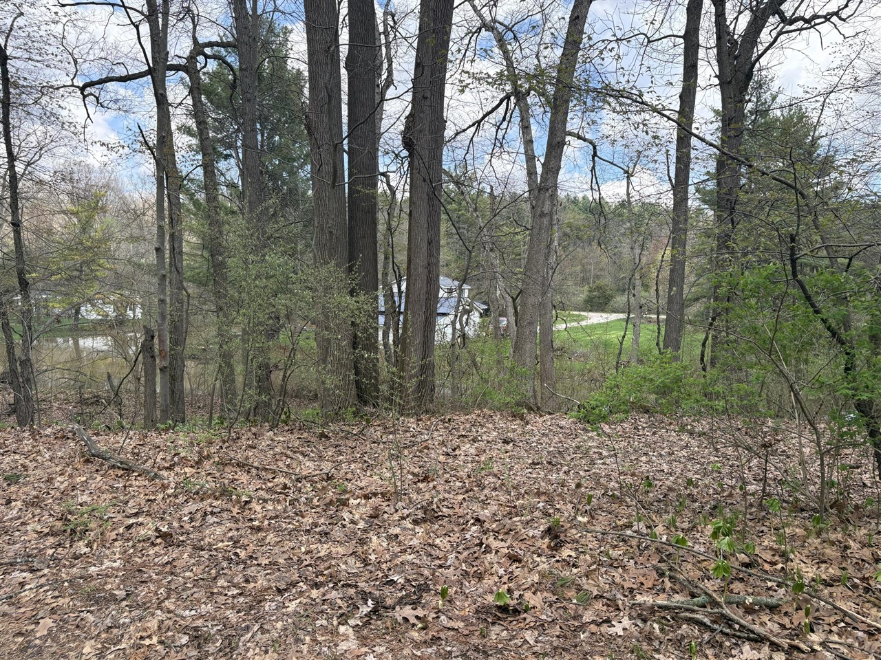 8091 Poplar Drive Property Photo 1