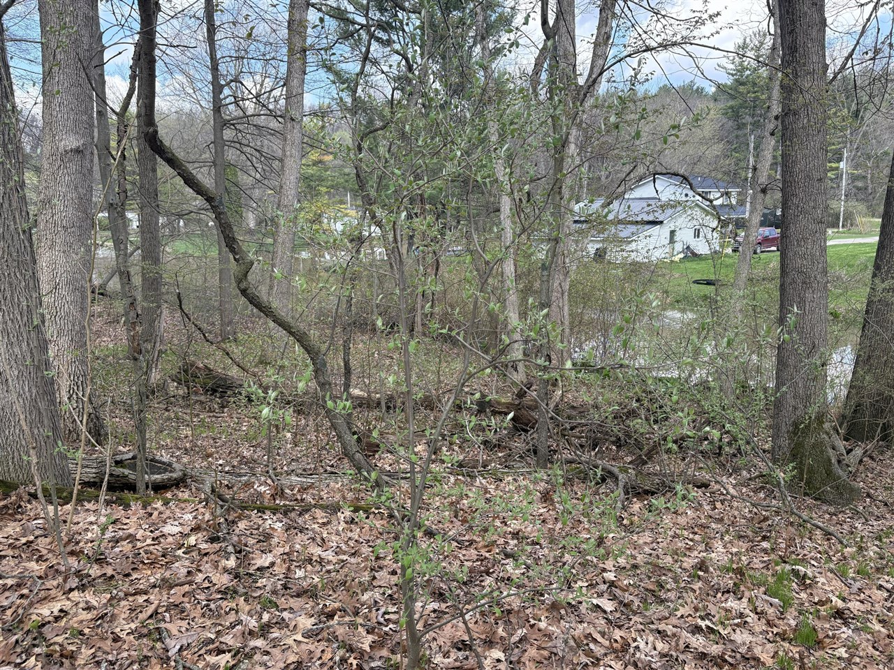8091 Poplar Drive Property Photo 4