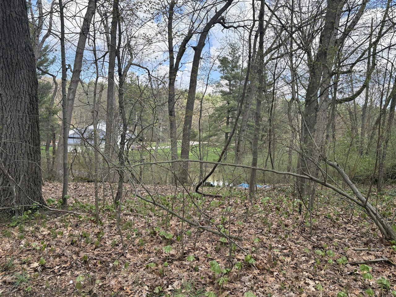8091 Poplar Drive Property Photo 5