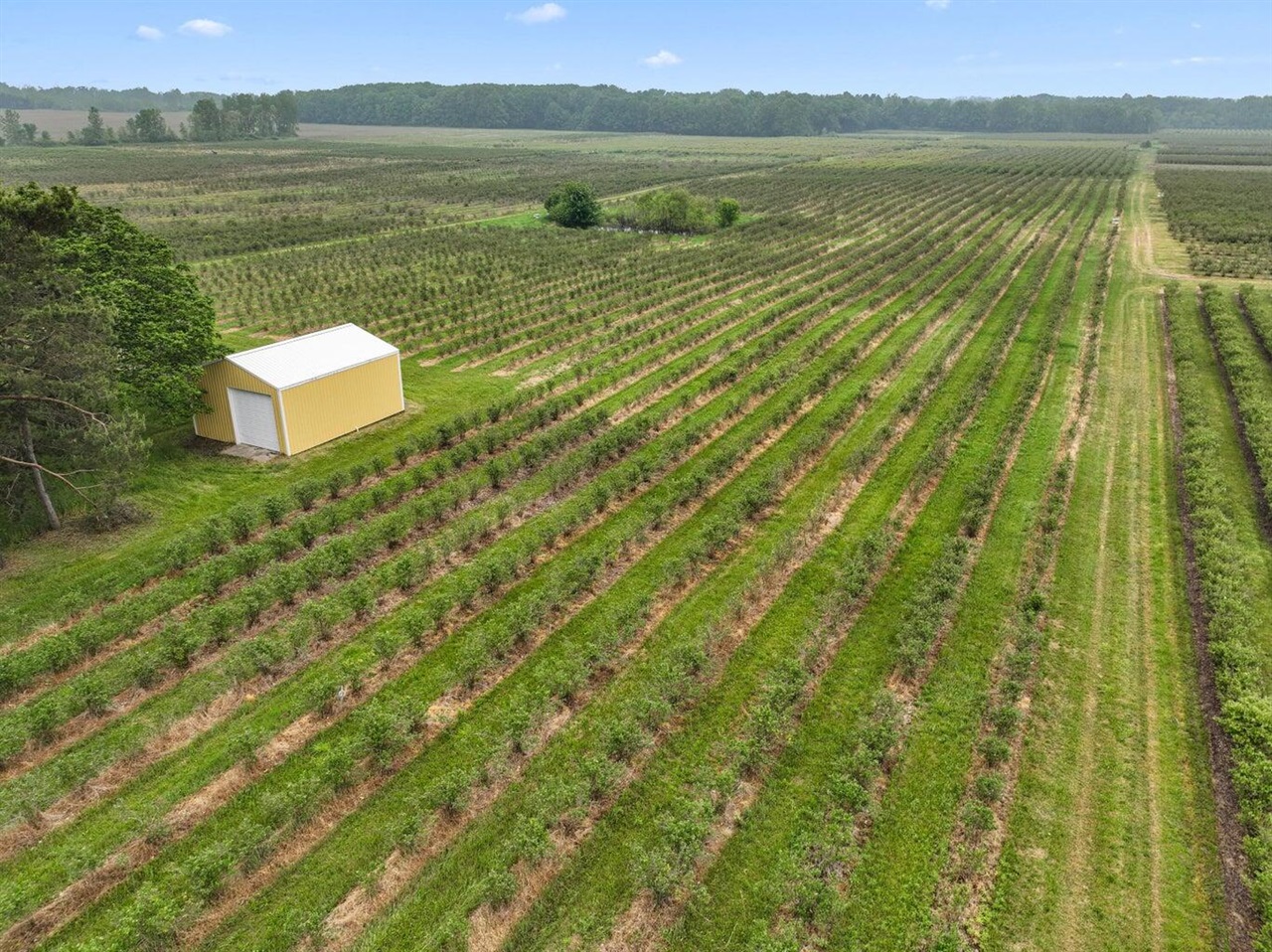 2031 Lynch Road Property Photo 1
