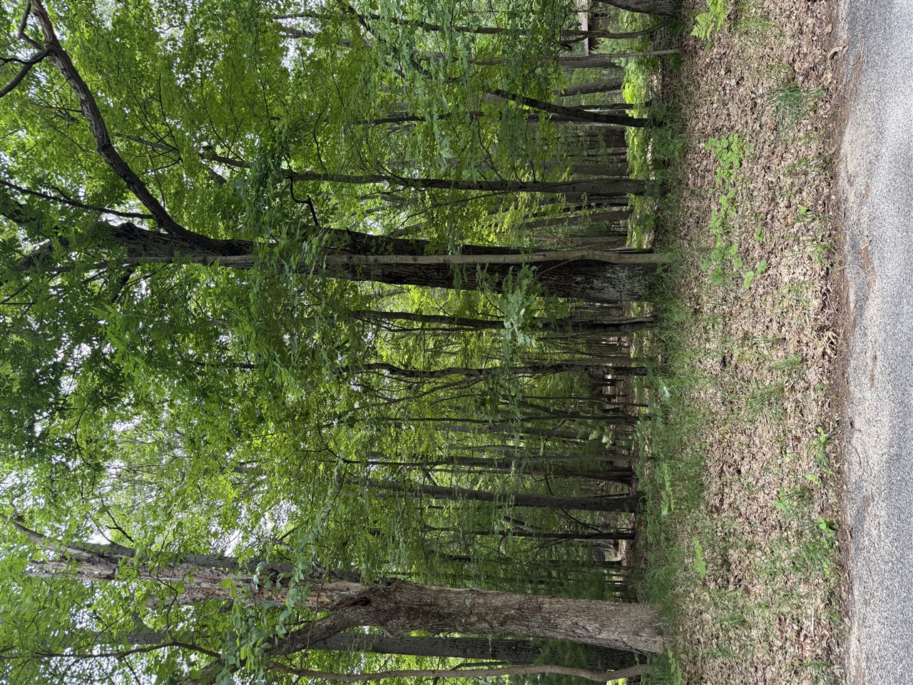 Lot 127 Wayne Road Property Photo 1
