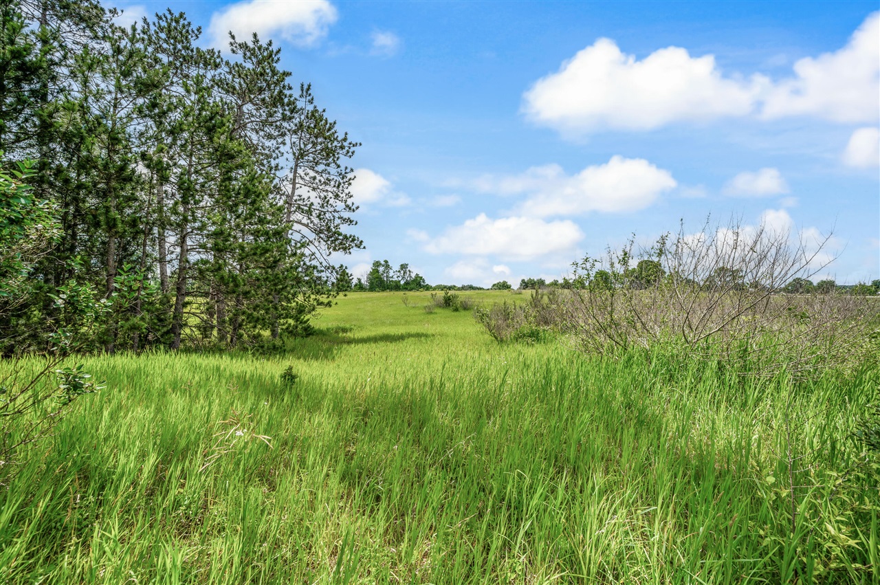 13751 Mackinaw Trail Property Photo 1