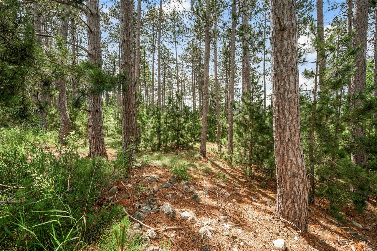 13751 Mackinaw Trail Property Photo 4