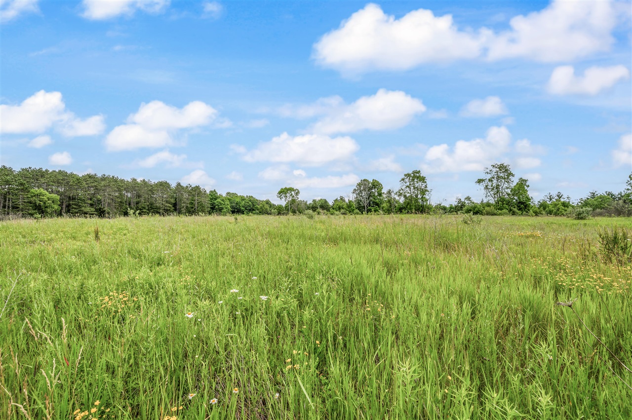 13751 Mackinaw Trail Property Photo 6