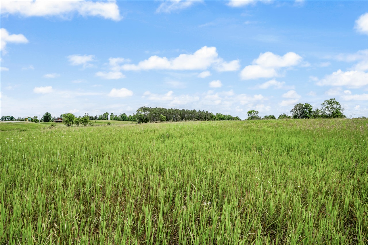 13751 Mackinaw Trail Property Photo 8
