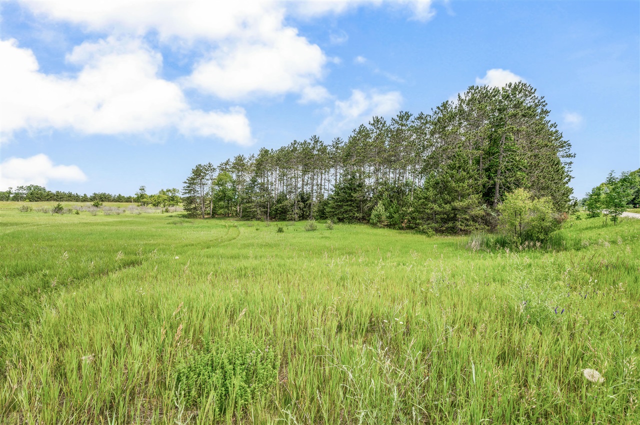 13751 Mackinaw Trail Property Photo 14
