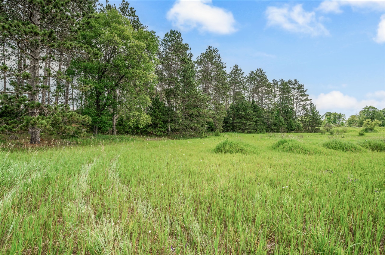 13751 Mackinaw Trail Property Photo 17