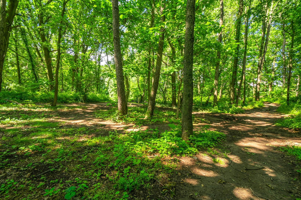 8765 M 66 Property Photo 16