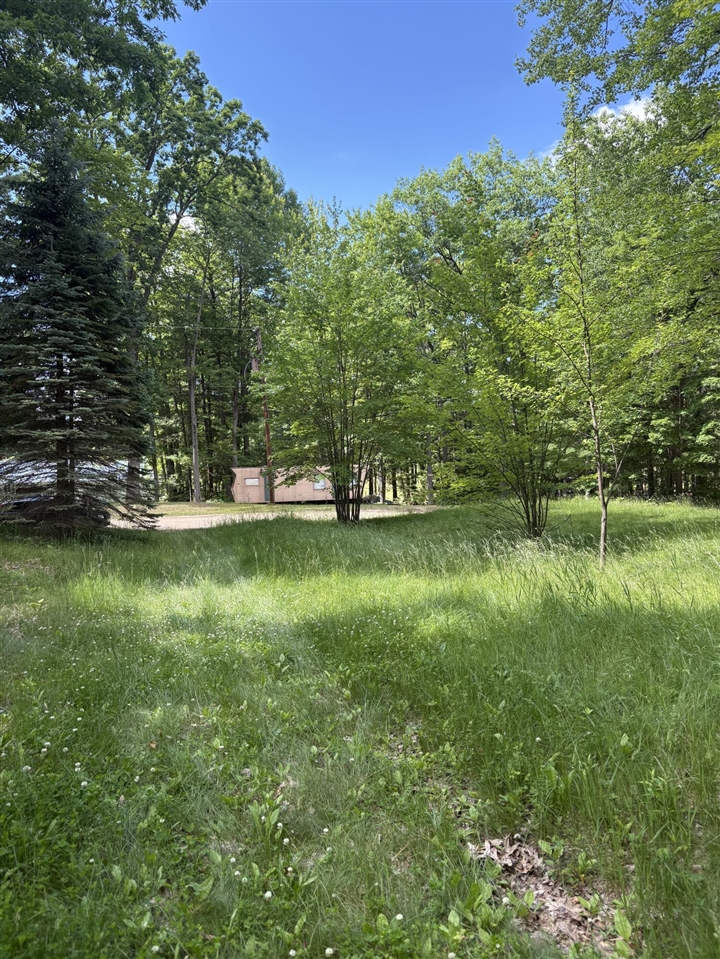 5339 Jerry Street Property Photo 3