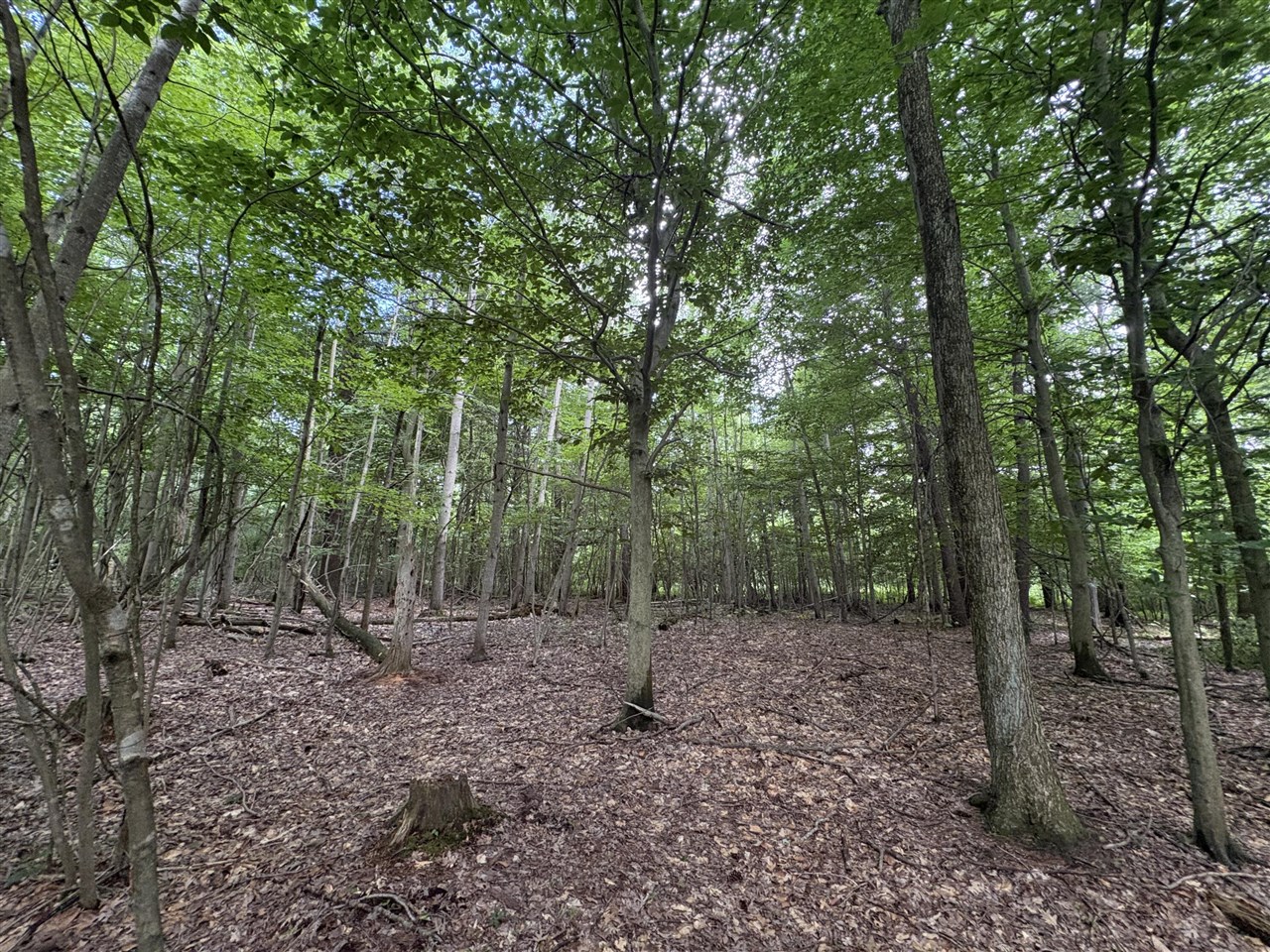 109th Avenue Property Photo 2