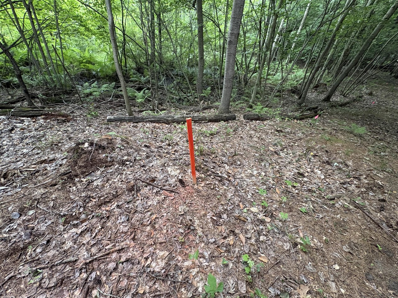 109th Avenue Property Photo 3