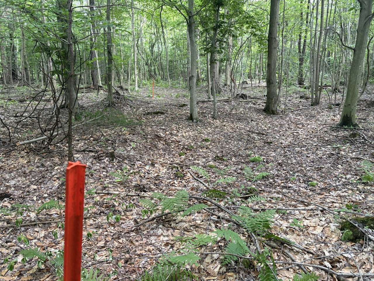 109th Avenue Property Photo 4
