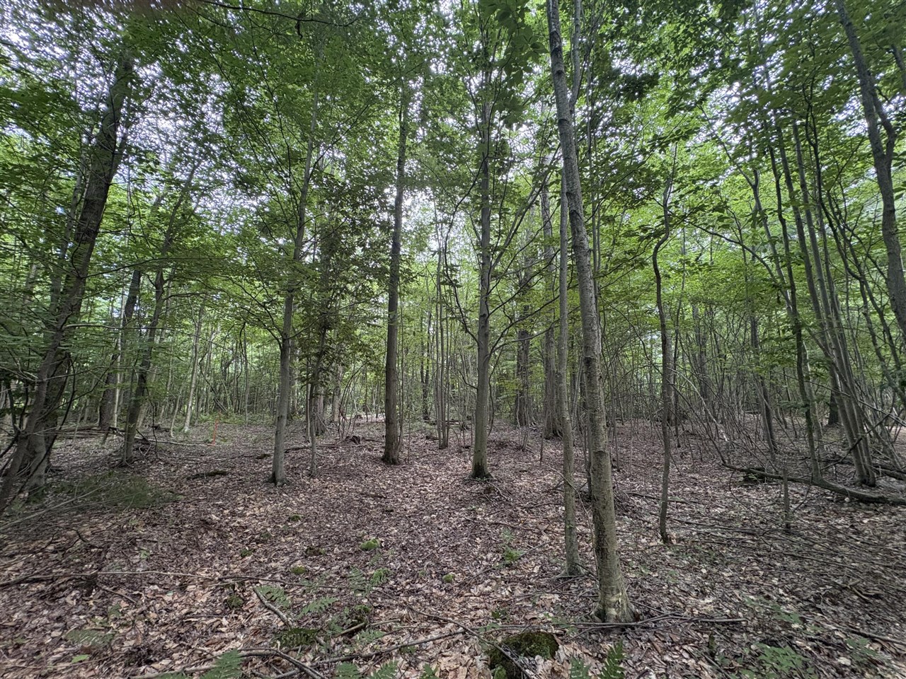 109th Avenue Property Photo 5