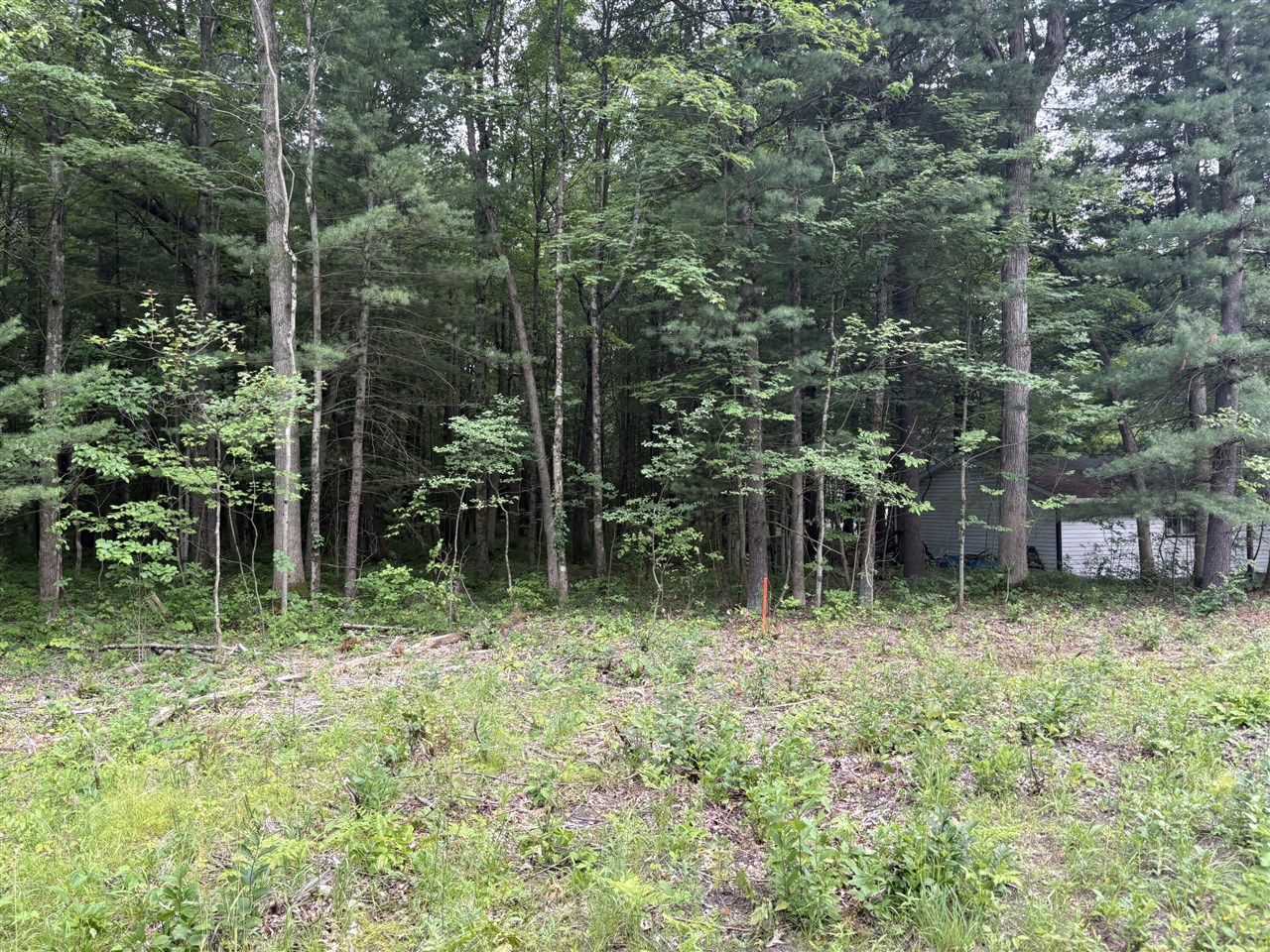 109th Avenue Property Photo 6