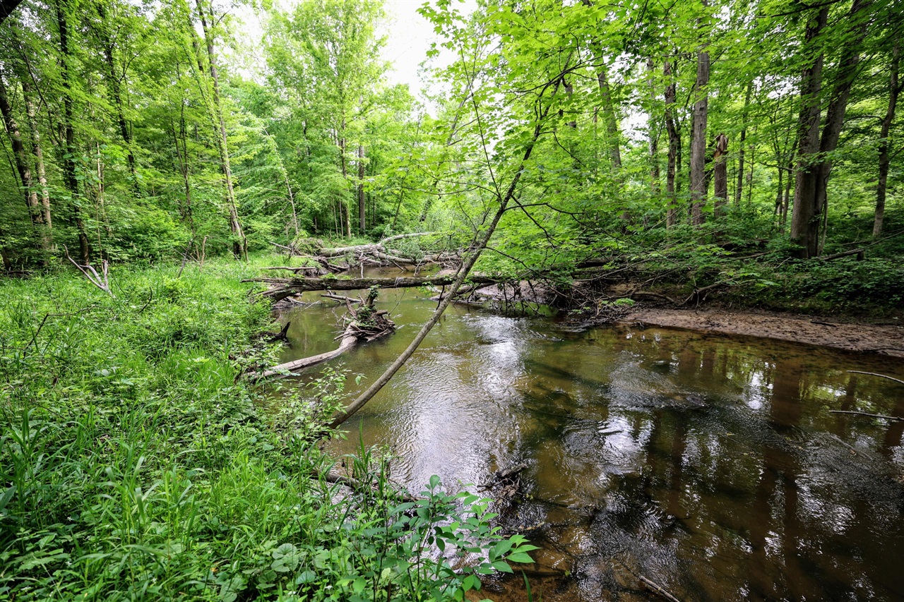 Vl Black River Rd Property Photo 1