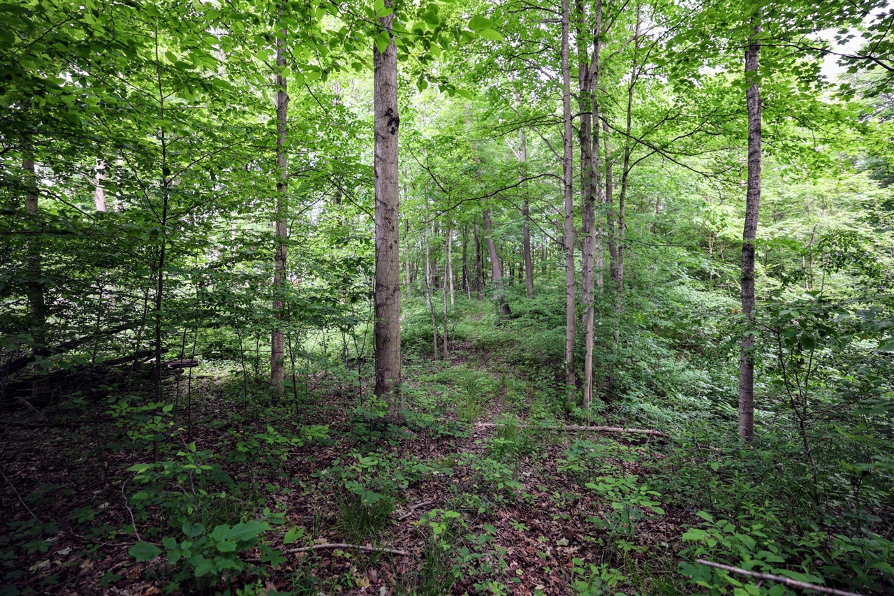 Vl Black River Rd Property Photo 2