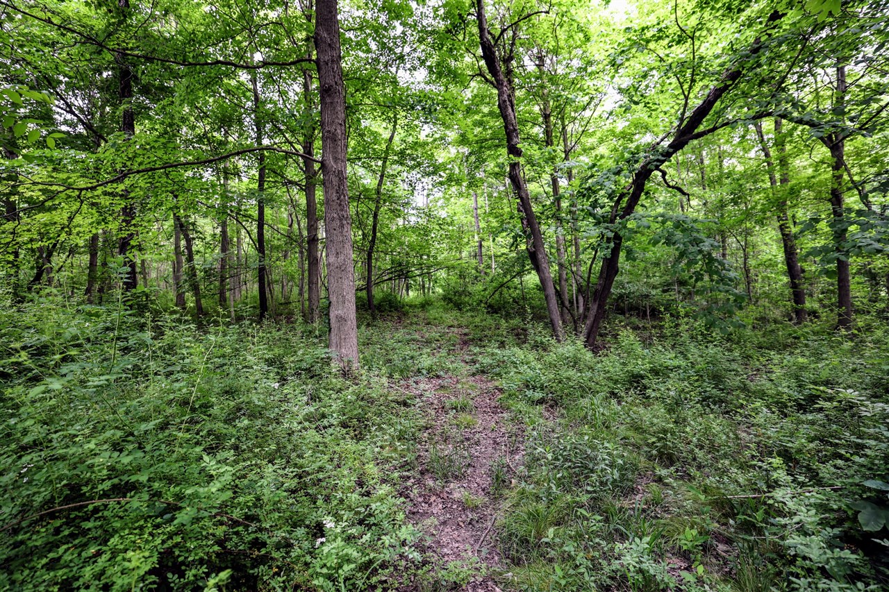 Vl Black River Rd Property Photo 5
