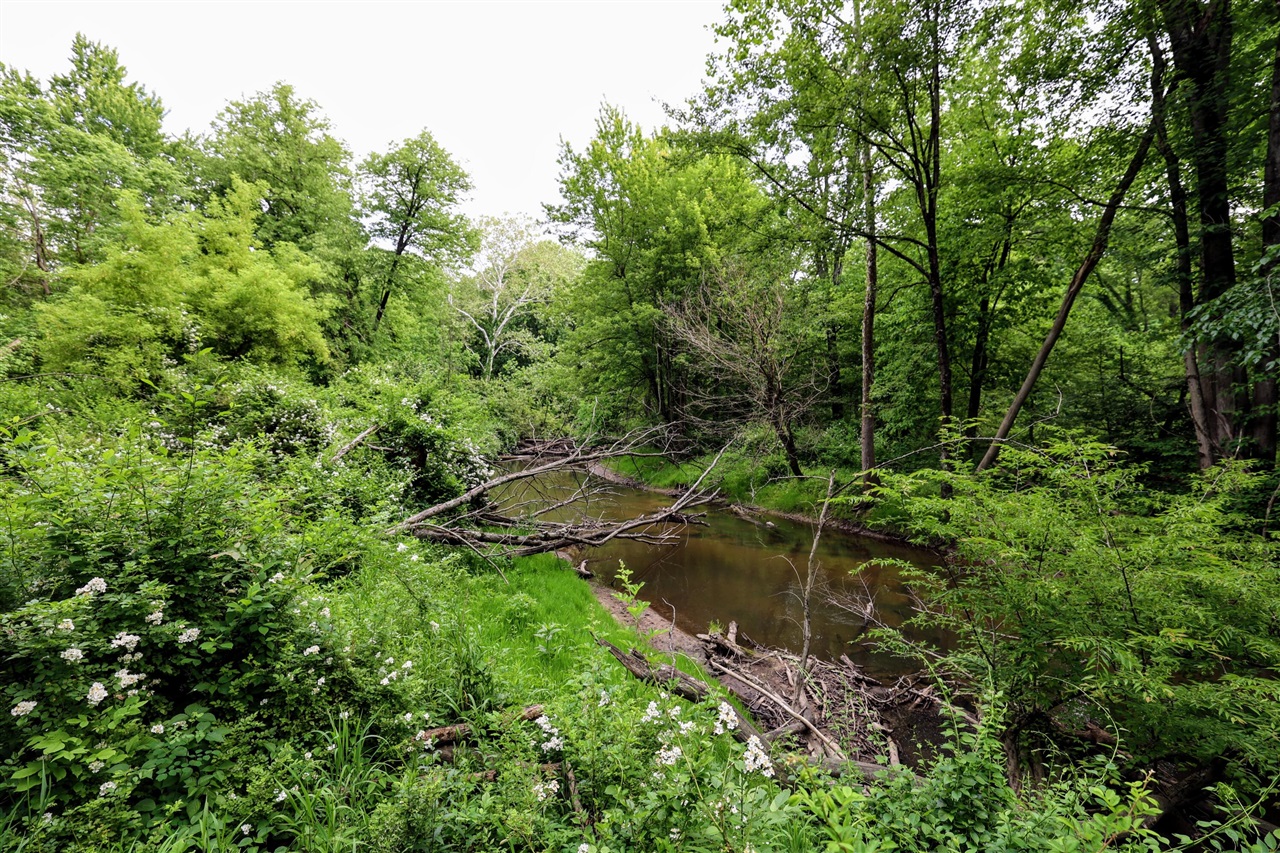 Vl Black River Rd Property Photo 6