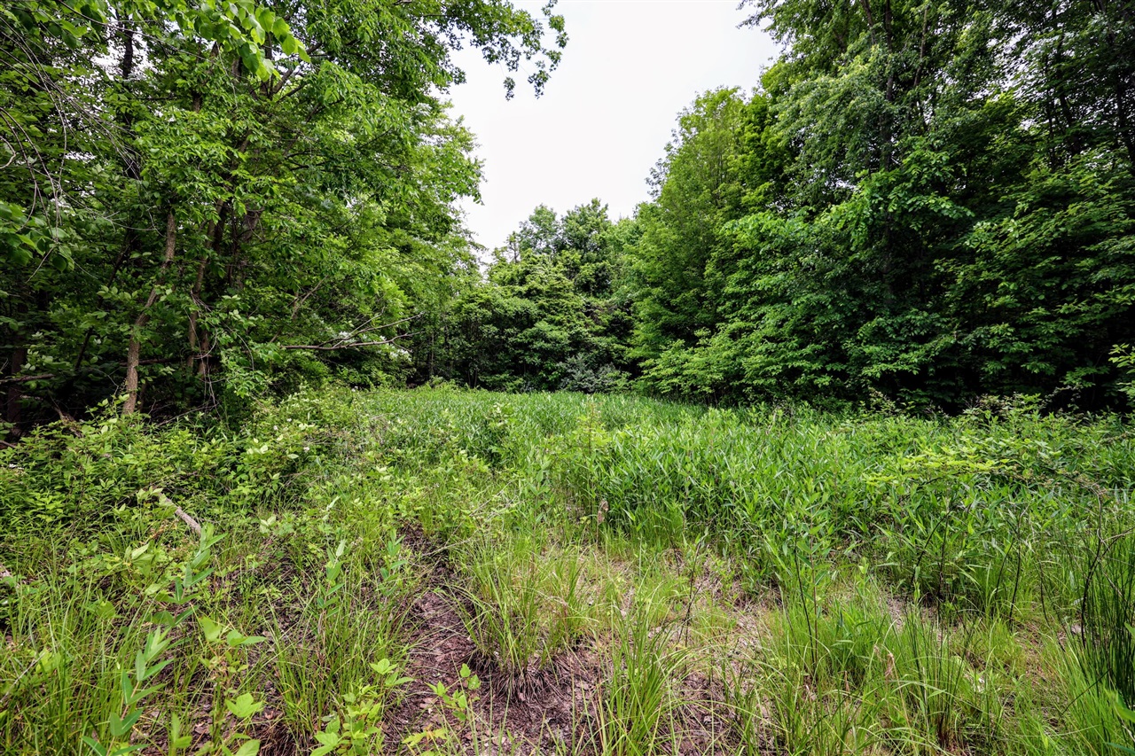 Vl Black River Rd Property Photo 8