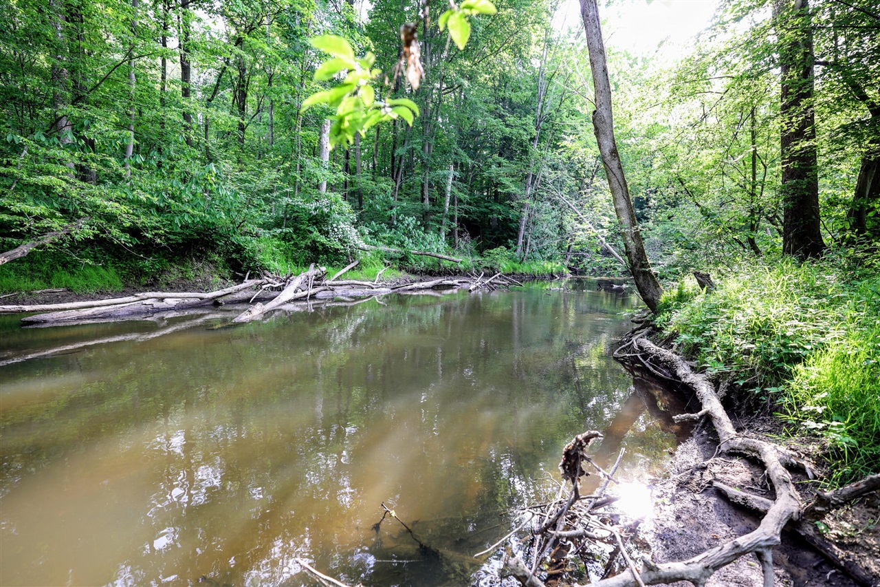 Vl Black River Rd Property Photo 9
