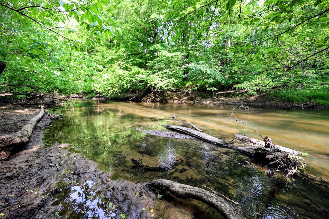 Vl Black River Rd Property Photo 10