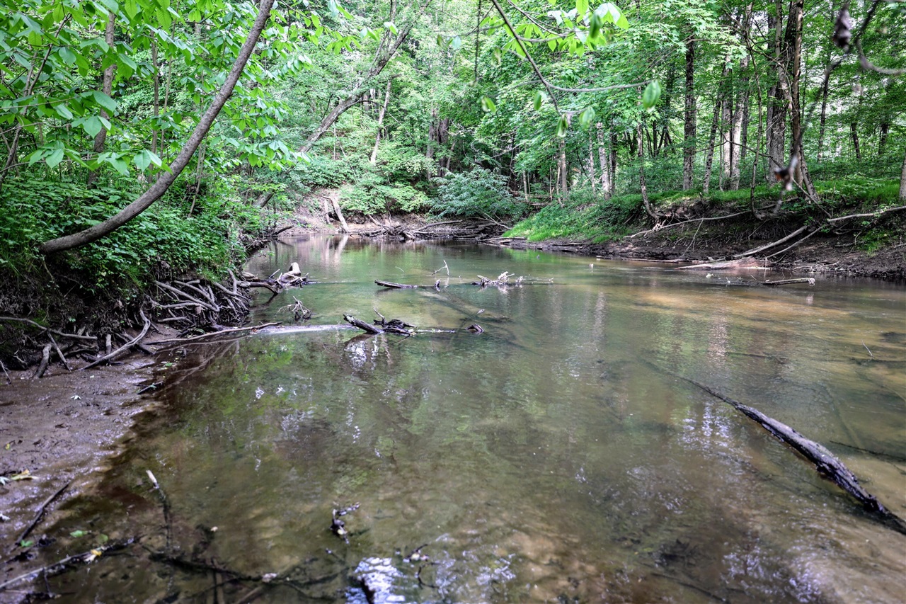 Vl Black River Rd Property Photo 11