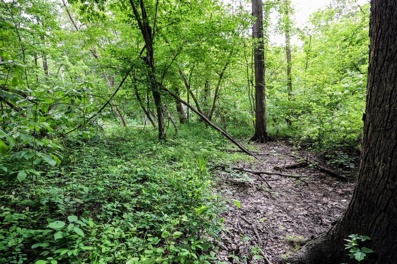 Vl Black River Rd Property Photo 12